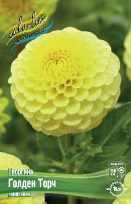 Георгин Голден Торч (1 шт)