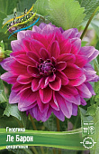 Георгин Ле Барон (1 шт)