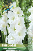 Гладиолус Нова Зембла (10 шт)