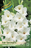 Гладиолус Уайт Просперити (10 шт)