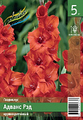 Гладиолус ЭКОНОМ-СЕРИЯ АДВАНС РЭД (5 шт)