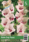 Гладиолус ЭКОНОМ-СЕРИЯ ВАЙН ЭНД РОЗЕС (5 шт)