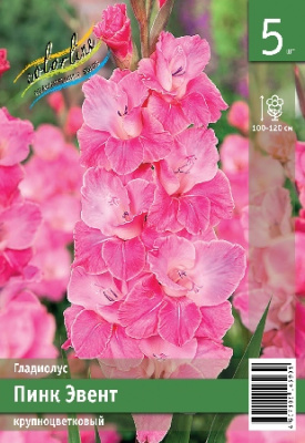 Гладиолус ЭКОНОМ-СЕРИЯ ПИНК ЭВЕНТ (5 шт)