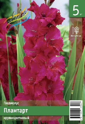 Гладиолус ЭКОНОМ-СЕРИЯ ПЛАМТАРТ (5 шт)