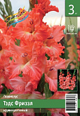 Гладиолус ЭКОНОМ-СЕРИЯ ТЭДС ФРИЗЗЛ (3 шт)