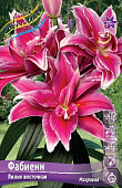 Лилия ФАБИЕНН 16/18 (3 шт)