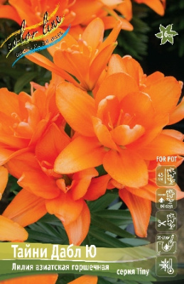 Лилия ТАЙНИ ДАБЛ Ю14/16 (3 шт)