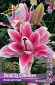 Лилия Roselily Олимпия 16/18 (3 шт)