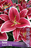 Лилия КВИК 16/18 (5 шт)