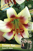 Лилия ПАШШН МУН 16/18 (3 шт)