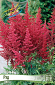Астильба Рэд (1 шт)