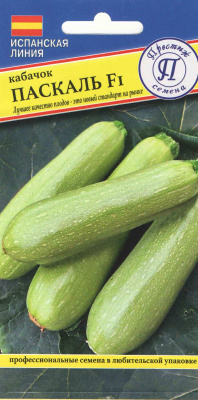 Кабачок Паскаль 5 шт (Испания)