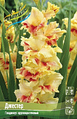 Гладиолус Джестер (10 шт)