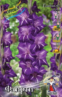 Гладиолус Флирти 12/14 (5 шт)