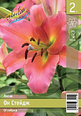 Лилия ЭКОНОМ-СЕРИЯ ОН СТЕЙДЖ (2 шт)