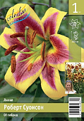 Лилия ЭКОНОМ-СЕРИЯ РОБЕРТ СУОНСОН (1 шт)