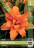 Лилия ЭКОНОМ-СЕРИЯ ОРАНЖ ТВИНC (1 шт)