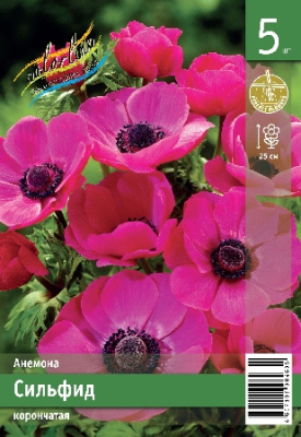 Анемона ЭКОНОМ-СЕРИЯ СИЛЬФИД (5 шт)