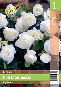 Бегония ЭКОНОМ-СЕРИЯ НОН СТОП БЕЛАЯ (1 шт)