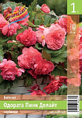 Бегония ЭКОНОМ-СЕРИЯ ОДОРАТА ПИНК ДЕЛАЙТ (1 шт)