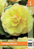 Бегония ЭКОНОМ-СЕРИЯ СУПЕРБА ЖЕЛТАЯ (1 шт)
