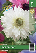 Анемона ЭКОНОМ-СЕРИЯ ГОРА ЭВЕРЕСТ (5 шт)