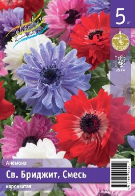 Анемона ЭКОНОМ-СЕРИЯ СВ.БРИДЖИТ СМЕСЬ (5 шт)