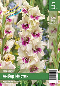 Гладиолус ЭКОНОМ-СЕРИЯ АМБЕР МИСТИК (5 шт)