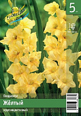 Гладиолус ЭКОНОМ-СЕРИЯ ЖЕЛТЫЙ (5 шт)
