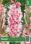 Гладиолус ЭКОНОМ-СЕРИЯ КАВКАЗ (3 шт)
