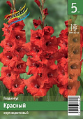 Гладиолус ЭКОНОМ-СЕРИЯ КРАСНЫЙ (5 шт)