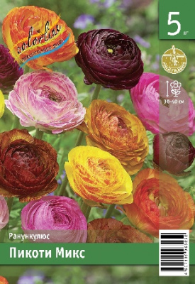 Ранункулюс ЭКОНОМ-СЕРИЯ ПИКОТИ МИКС (5 шт)