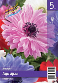 Анемона ЭКОНОМ-СЕРИЯ АДМИРАЛ (5 шт)