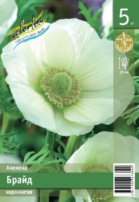 Анемона ЭКОНОМ-СЕРИЯ БРАЙД (5 шт)