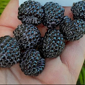 Малина Меган P9