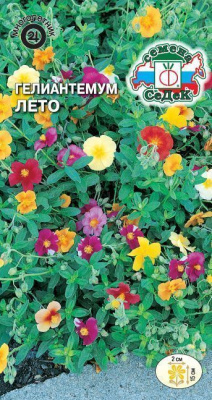 Гелиантемум Лето 0,1г