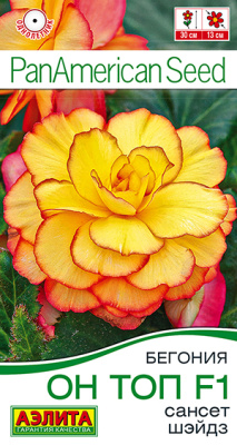 Бегония Он Топ сансет шэйдз 5шт