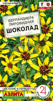 Берландиера Шоколад 5шт