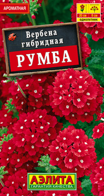 Вербена Румба 30шт