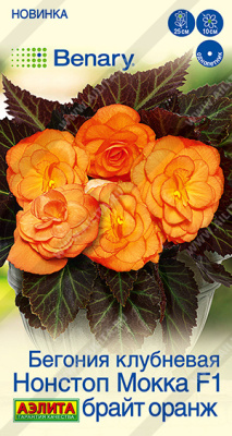 Бегония Нонстоп мокка брайт оранж 5шт