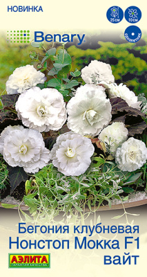 Бегония Нонстоп мокка вайт 5шт