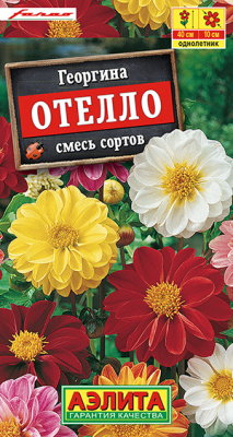 Георгина Отелло 7шт