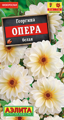 Георгина Опера белая 7шт