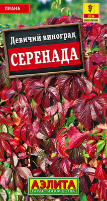 Девичий виноград Серенада 10шт