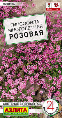 Гипсофила Розовая многолетняя