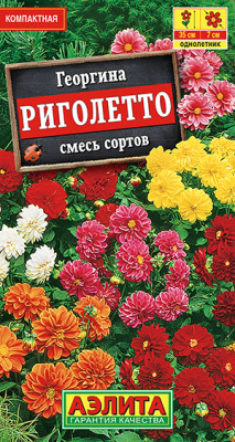 Георгина Риголетто 7шт