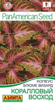 Колеус Коралловый восход блюме 5шт