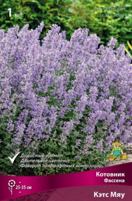 Котовник Кэтс Мяу (1 шт)