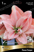Амариллис Пинк Глори (1 шт)