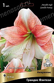 Амариллис Грандис Фэнтези (1 шт)